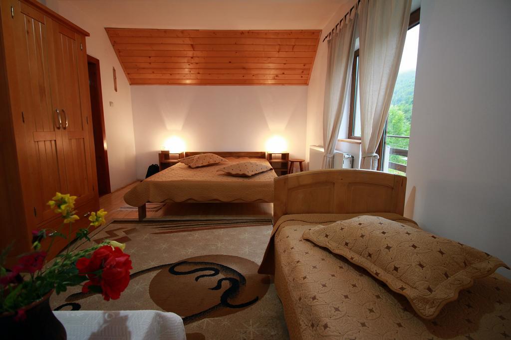 Hôtel Vila Sucu à Poiana Mărului Chambre photo