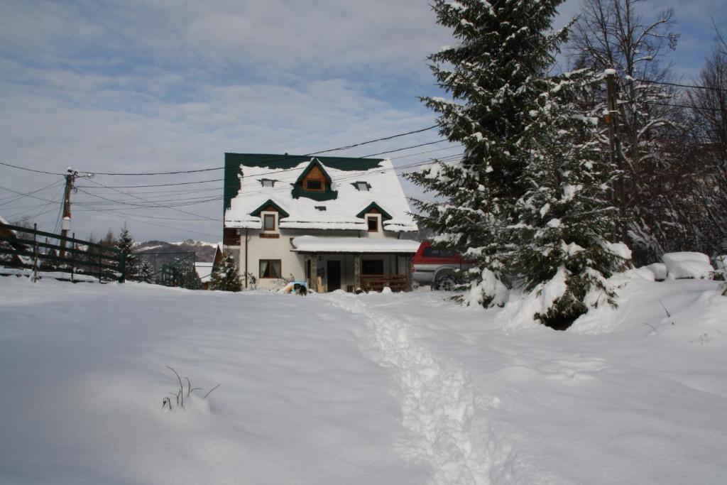Hôtel Vila Sucu à Poiana Mărului Extérieur photo